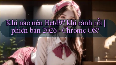 Khi nào nên Betd9 khi rảnh rỗi phiên bản 2026   Chrome OS
