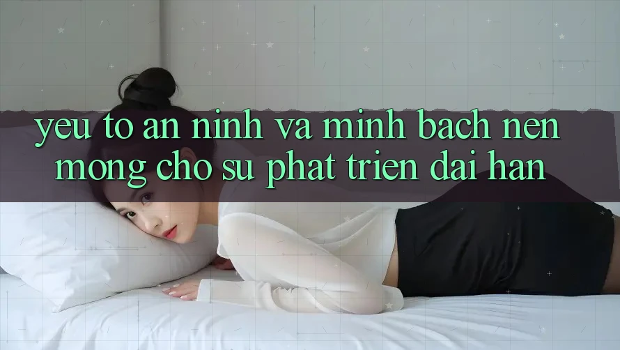 Yếu Tố An ninh Và Minh bạch: Nền Móng Cho Sự Phát Triển Dài hạn