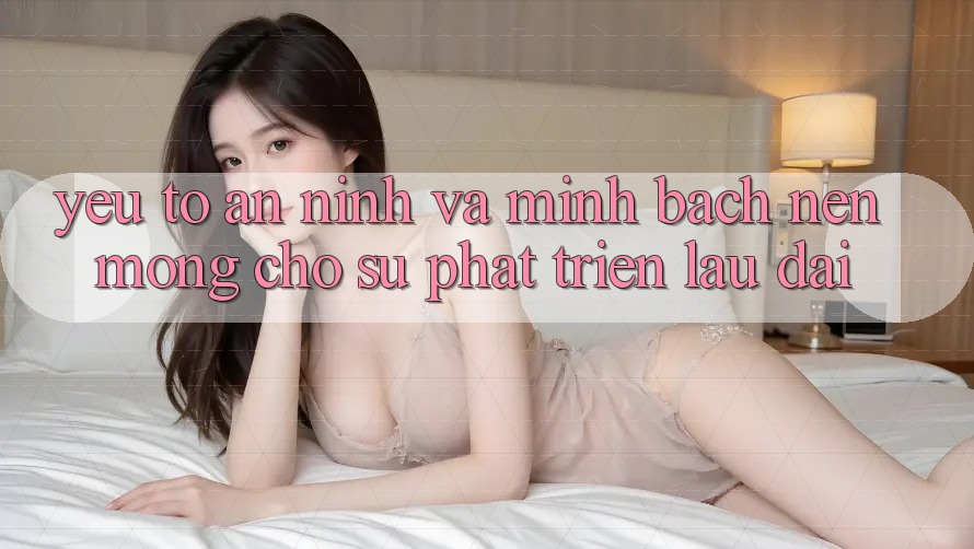 Yếu Tố An ninh Và Minh bạch: Nền Móng Cho Sự Phát Triển Lâu dài Yếu Tố An ninh Và Minh bạch: Nền Móng Cho Sự Phát Triển Lâu dài