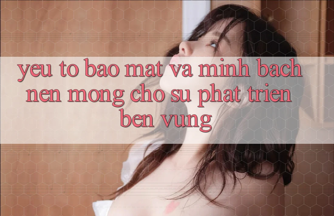 Yếu Tố Bảo Mật Và Minh bạch: Nền Móng Cho Sự Phát Triển Bền vững Yếu Tố Bảo Mật Và Minh bạch: Nền Móng Cho Sự Phát Triển Bền vững