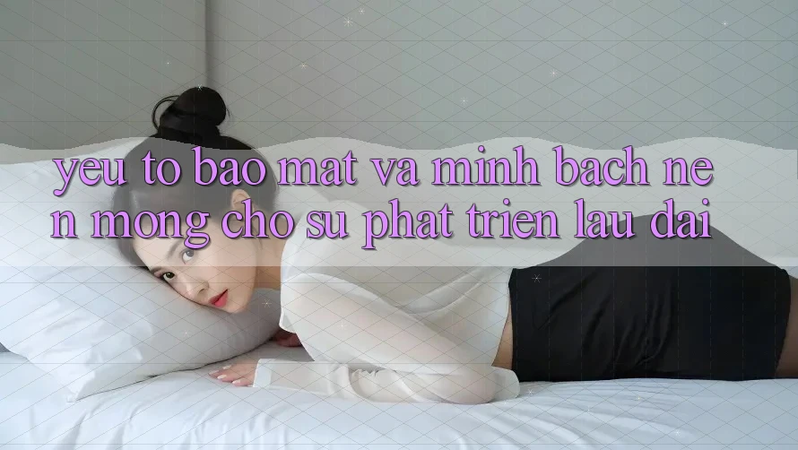 Yếu Tố Bảo Mật Và Minh bạch: Nền Móng Cho Sự Phát Triển Lâu dài
