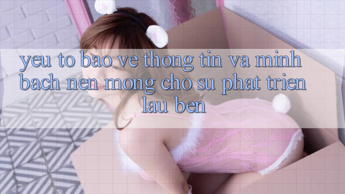 Yếu Tố Bảo vệ thông tin Và Minh bạch: Nền Móng Cho Sự Phát Triển Lâu bền Yếu Tố Bảo vệ thông tin Và Minh bạch: Nền Móng Cho Sự Phát Triển Lâu bền