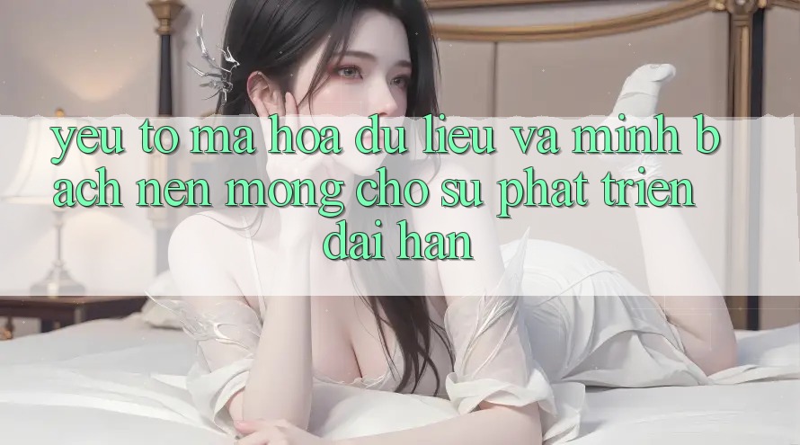 Yếu Tố Mã hóa dữ liệu Và Minh bạch: Nền Móng Cho Sự Phát Triển Dài hạn