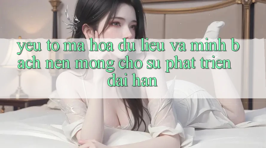 Yếu Tố Mã hóa dữ liệu Và Minh bạch: Nền Móng Cho Sự Phát Triển Dài hạn