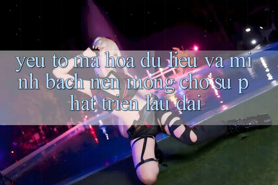 Yếu Tố Mã hóa dữ liệu Và Minh bạch: Nền Móng Cho Sự Phát Triển Lâu dài Yếu Tố Mã hóa dữ liệu Và Minh bạch: Nền Móng Cho Sự Phát Triển Lâu dài
