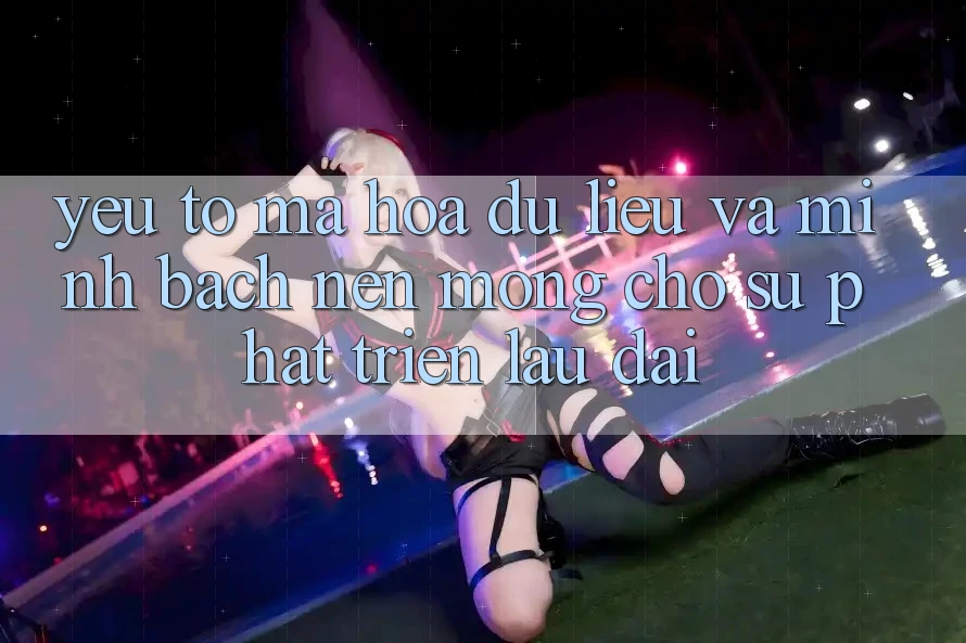 Yếu Tố Mã hóa dữ liệu Và Minh bạch: Nền Móng Cho Sự Phát Triển Lâu dài Yếu Tố Mã hóa dữ liệu Và Minh bạch: Nền Móng Cho Sự Phát Triển Lâu dài